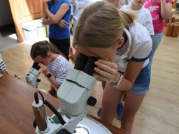 Półkolonie letnie 2025